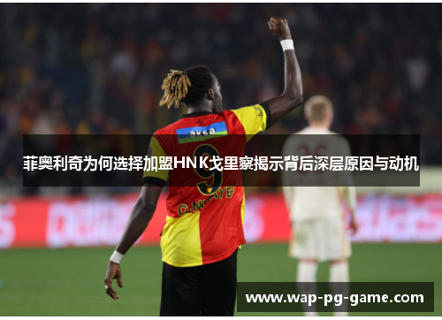 菲奥利奇为何选择加盟HNK戈里察揭示背后深层原因与动机